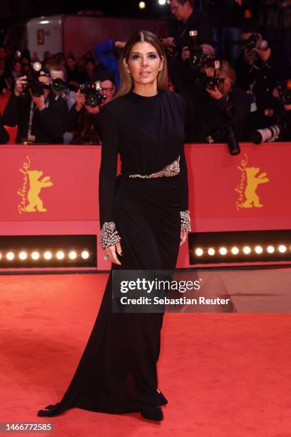 Marisa Tomei attends the "She Came to Me" premiere and Opening Ceremony red carpet during the 73rd Berlinale International Film Festival Berlin at...