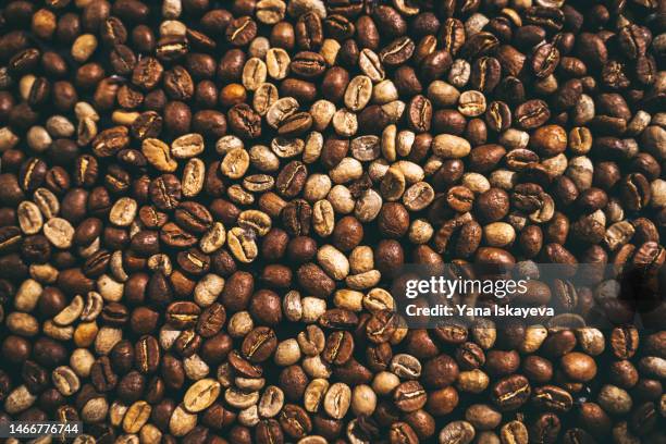 diverse coffee beans abstract background - raw coffee bean stock pictures, royalty-free photos & images