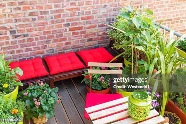 herbs and flowers cultivated in balcony garden - urban garden stock pictures, royalty-free photos & images