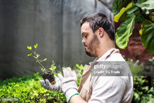 young special needs botanist taking care of plants in a garden center - groene vingers stockfoto's en -beelden