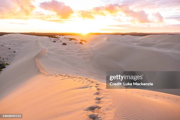 coffin bay national park - four wheel drive australia stock pictures, royalty-free photos & images