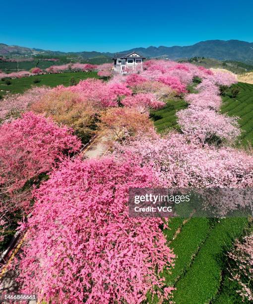 Longyan Cold Spring Longyan City Photos and Premium High Res Pictures - Getty Images