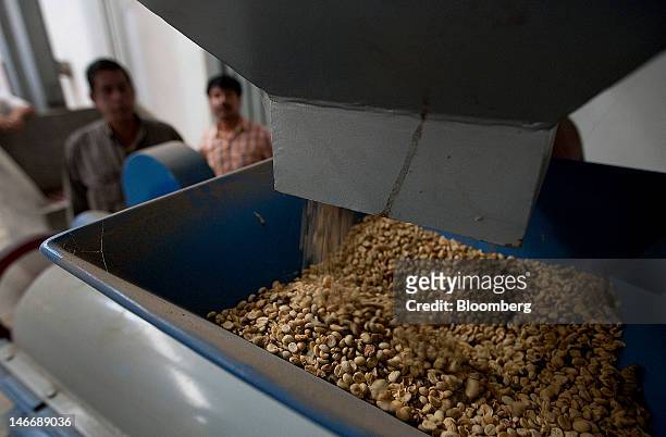 Pergamino coffee beans are processed at the Xico Coffee facility in Xicontepec, Mexico, on Tuesday, June 19, 2012. Gross domestic product will expand...