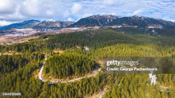 aerial photo of dense fir tree forest on the mountain - taiga stock-fotos und bilder