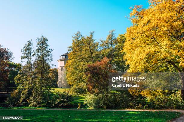 park im herbst weimar, deutschland - thüringen stock-fotos und bilder