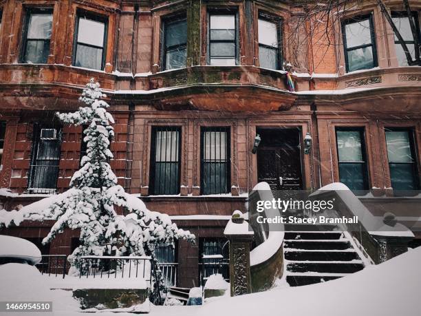snow covers a stoop and nearby tree in new york city's upper west side during an afternoon snowstorm - piedra caliza fotografías e imágenes de stock