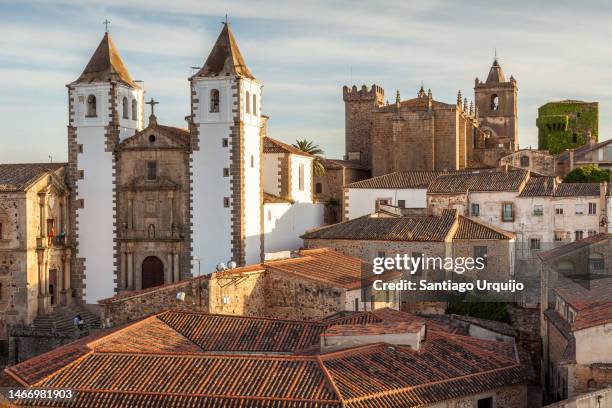 rooftops of old town of caceres - extremadura stockfoto's en -beelden