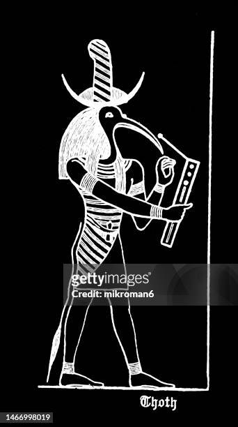 old engraved illustration of thoth, egyptian god of writing, magic, wisdom, and the moon - egyptian thoth stock-fotos und bilder