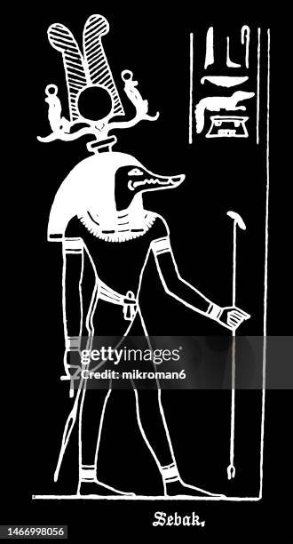 Sebek Image Sebek Photos and Premium High Res Pictures - Getty Images