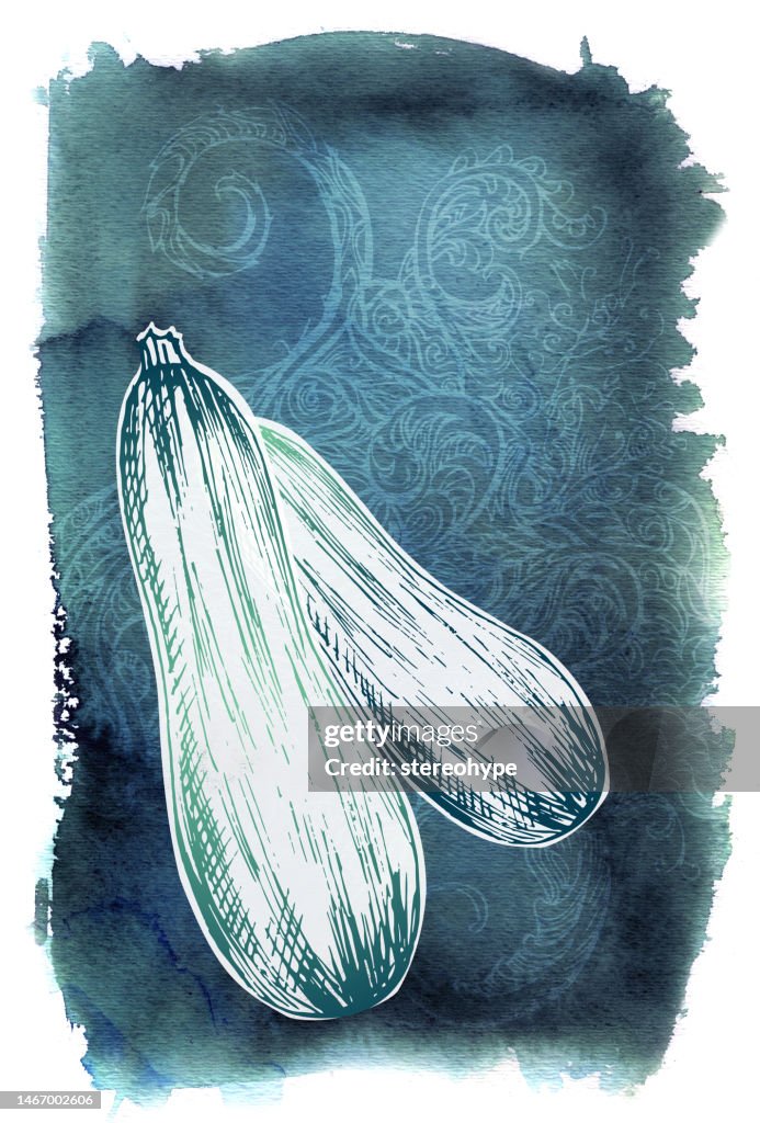 Zucchini-the veg series