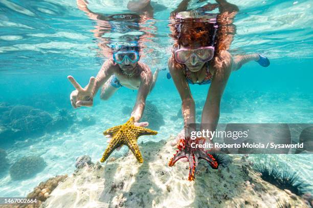 couple with scuba mask holding starfish underwater - schnorcheln stock-fotos und bilder