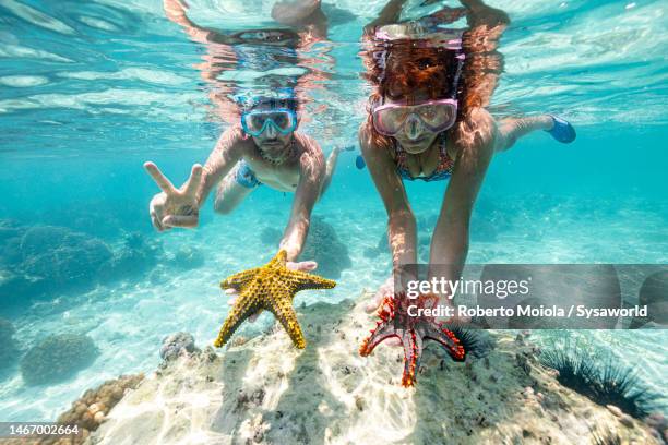 couple with scuba mask holding starfish underwater - snorkeling fotografías e imágenes de stock