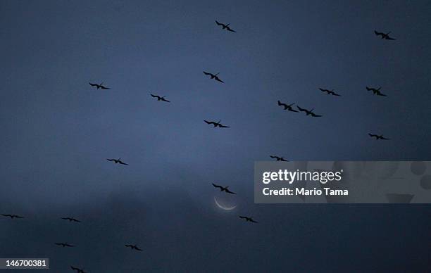 Birds fly beneath the moon on the final day of the Rio + 20 conference on June 22, 2012 in Rio de Janiero, Brazil. Today concluded the June 20-22...