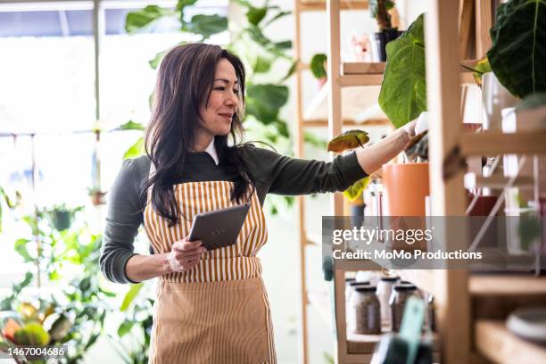 female flower shop owner taking inventory with digital tablet - propietario fotografías e imágenes de stock