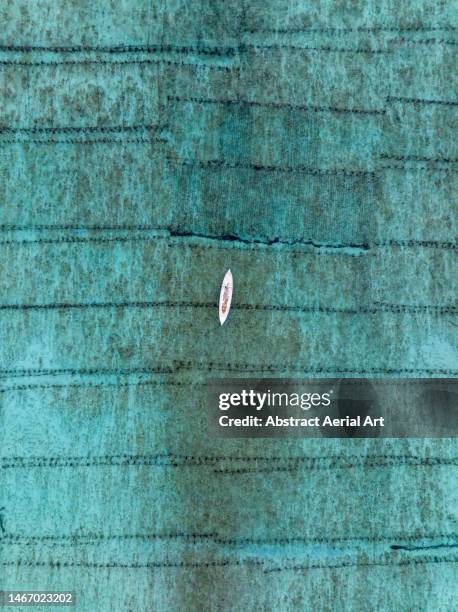 drone image looking down on a white coloured kayak floating above seaweed farms, nusa lembongan, bali, indonesia - water plant stock pictures, royalty-free photos & images