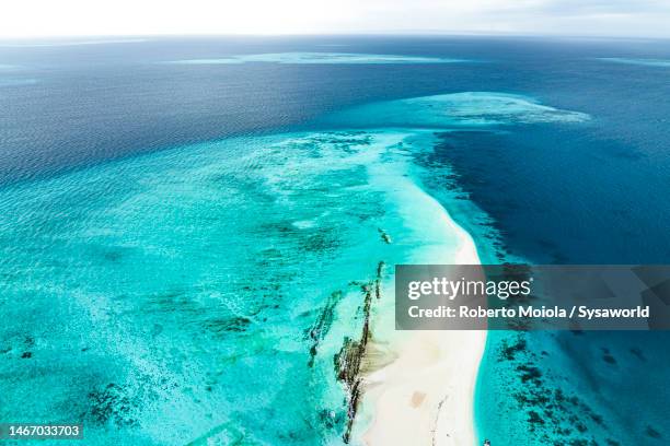 idyllic empty beach washed by the crystal sea, zanzibar - los alfaques location fotografías e imágenes de stock