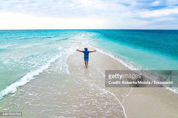 cheerful man admiring the turquoise sea standing on idyllic beach - zanzibar 個照片及圖片檔