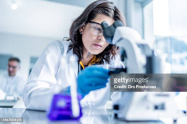 estudante adulta do sexo feminino analisando o líquido ao microscópio - artigos de vidro de laboratório - fotografias e filmes do acervo