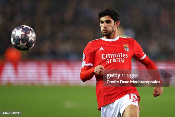 Goncalo Guedes of Benfica in action during the UEFA Champions League round of 16 match between Club Brugge KV and SL Benfica leg one at Jan Breydel...