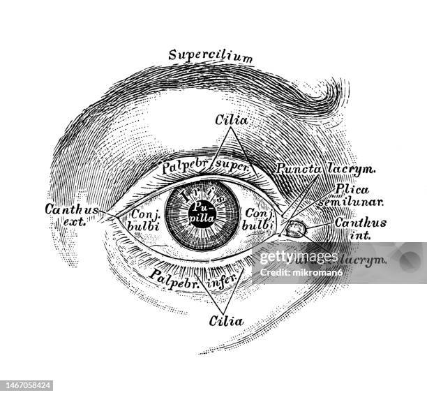 My Image 24