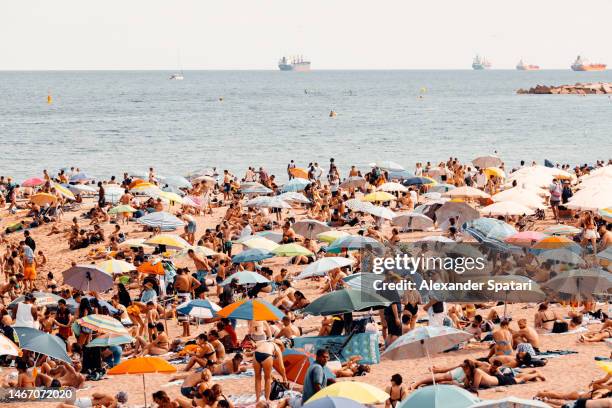 crowds of tourist at barceloneta beach on a hot summer day, barcelona, spain - beach sunbathing spain fotografías e imágenes de stock