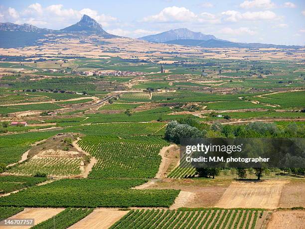 laguardia, rioja - comunidad autonoma de la rioja stockfoto's en -beelden