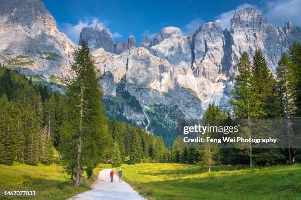 summer hike in dolomites, val venegia, south tyrol, italy - parco naturale puez odle foto e immagini stock