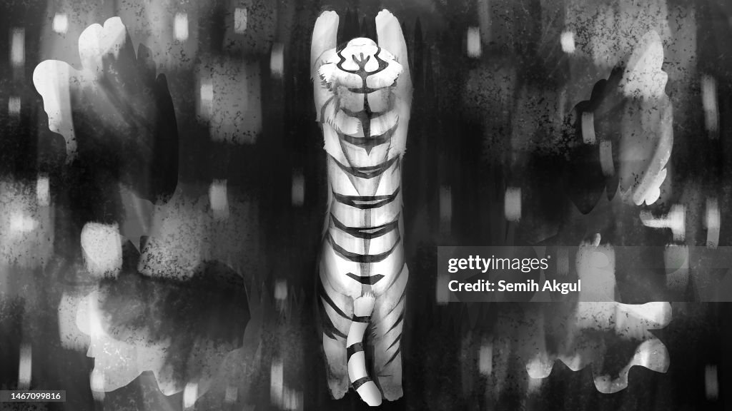 A Running White Tiger Top View, Directly Above Illustration