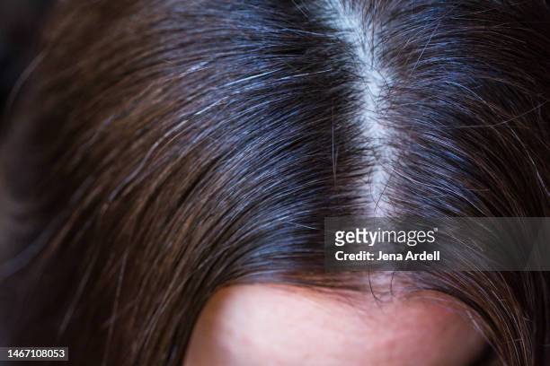 finding gray hair, first gray hair, one gray hair - scheitel stock-fotos und bilder
