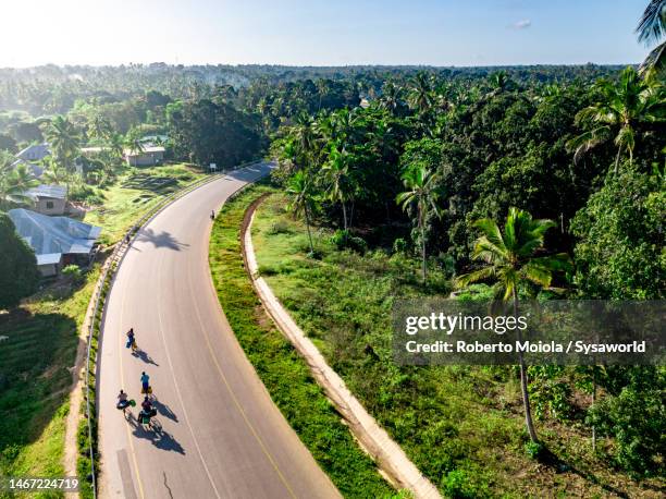 people riding bicycles on a road among palm trees - east africa photos et images de collection