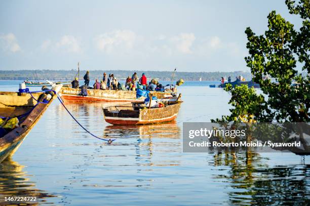 fishermen on traditional boats at dawn, zanzibar - tanzania imagens e fotografias de stock