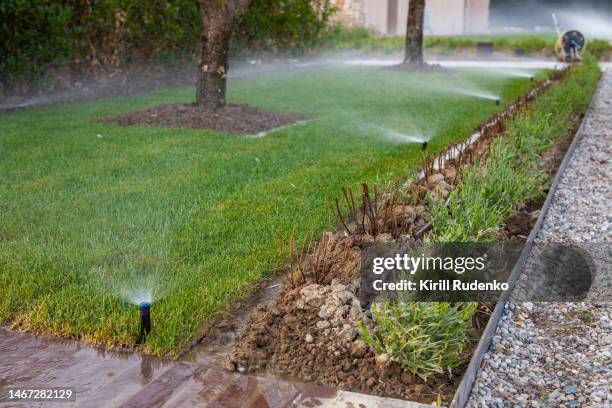 garden sprinklers - equipos de riego fotografías e imágenes de stock