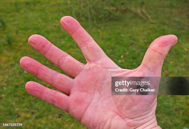 Hand Mark Rigth Hand Marks Photos and Premium High Res Pictures - Getty Images