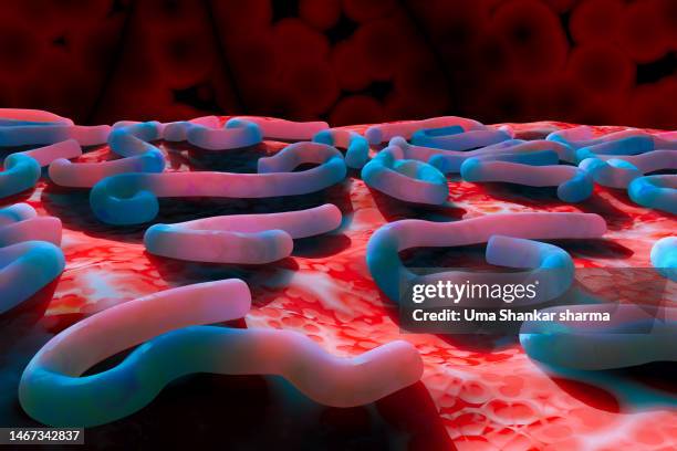 marburg virus - arma bioquímica imagens e fotografias de stock