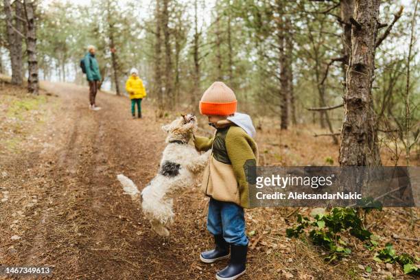portrait of a serious hiker - family with dog stockfoto's en -beelden