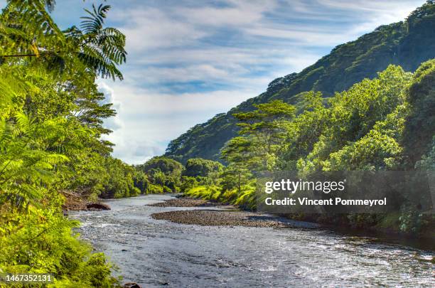 mountain of the papenoo valley - buschig stock-fotos und bilder