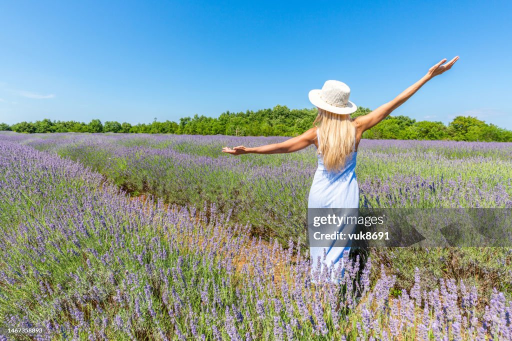 Girl in the lavender field
