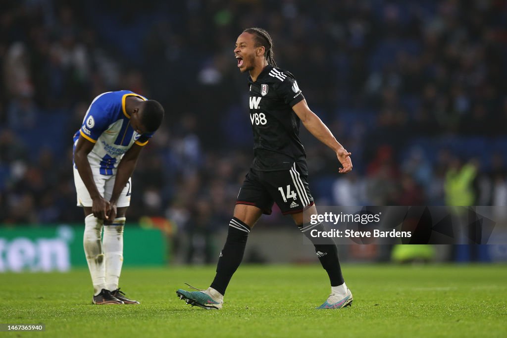 Brighton & Hove Albion v Fulham FC - Premier League