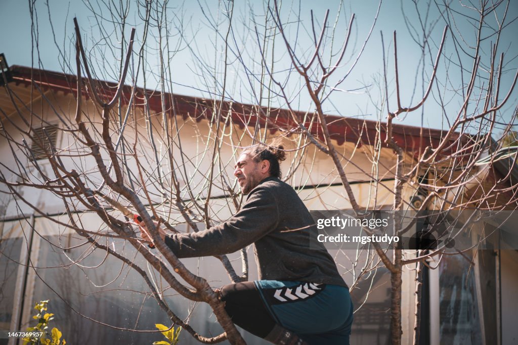 Gardener man pruning trees in spring in yard