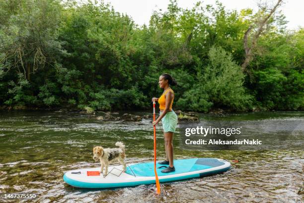 woman and her pet on standup paddleboard - the river stock pictures, royalty-free photos & images