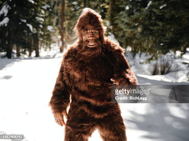 sasquatch bigfoot in a winter forest - big foot stock pictures, royalty-free photos & images