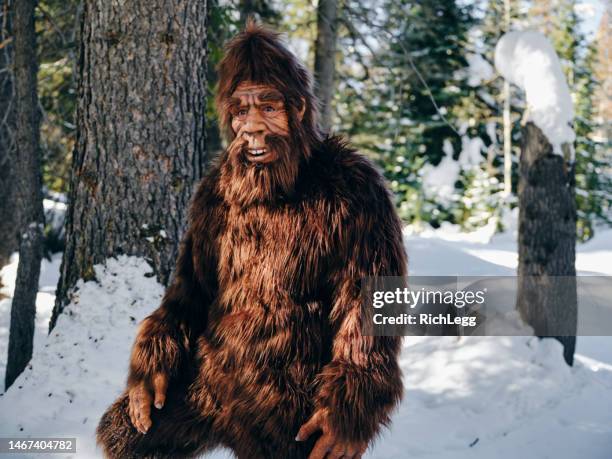 sasquatch bigfoot in a winter forest - bigfoot snow stock pictures, royalty-free photos & images