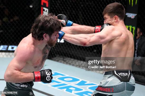 Jim Miller punches Alexander Hernandez in a lightweight fight during the UFC Fight Night event at UFC APEX on February 18, 2023 in Las Vegas, Nevada.