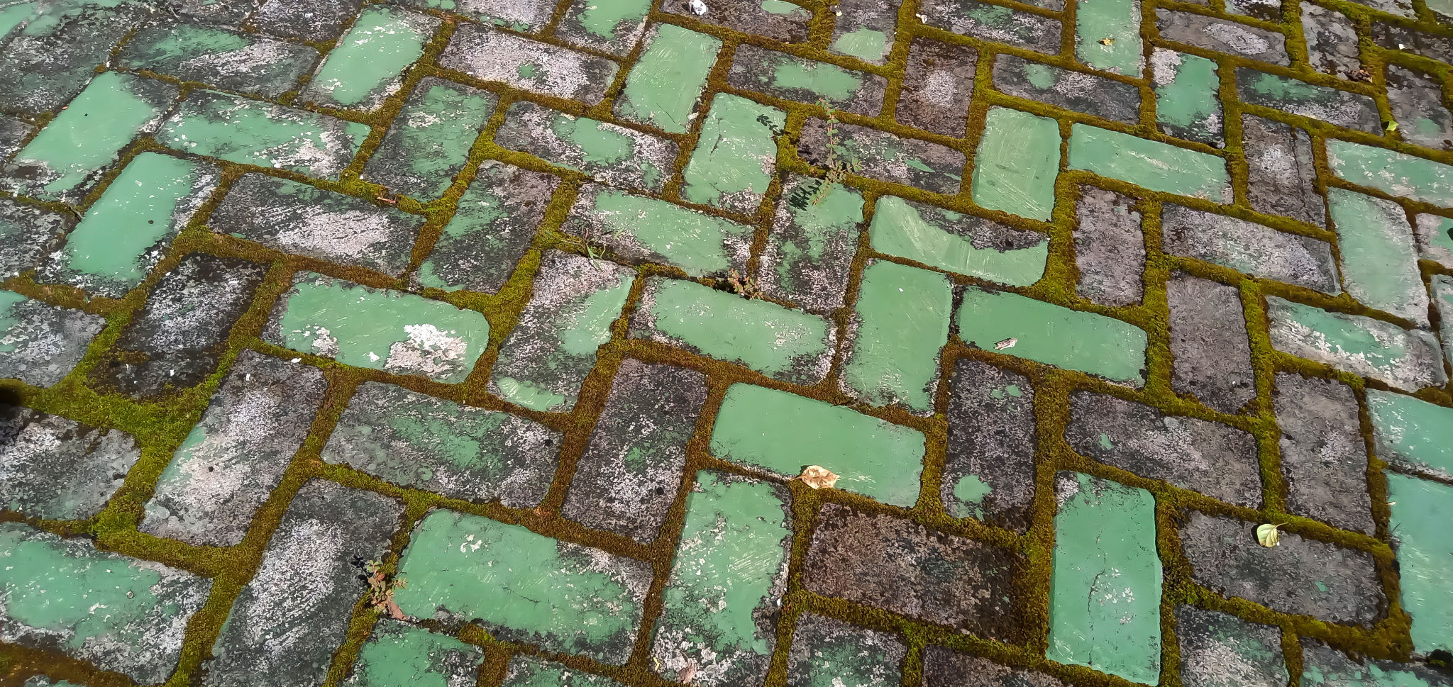 Green Paving stone Green Paving stone