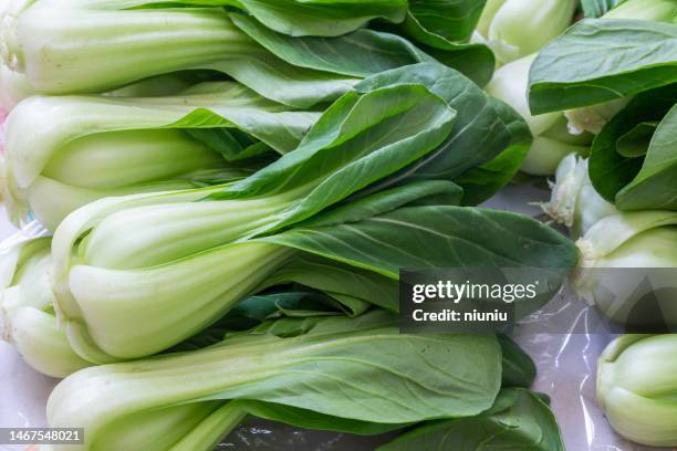 fresh bok choy - chinese cabbage imagens e fotografias de stock