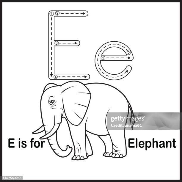 flashcard letter e is for elephant vector illustration - animal alphabet stock illustrations