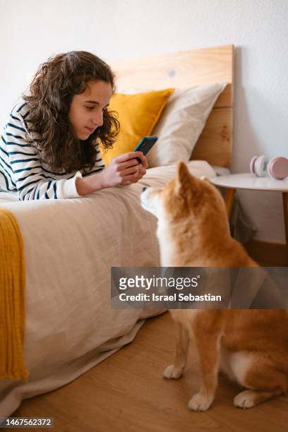 Vertical view of a teenage girl lying face down on bed smiling while using her smart phone with her dog sitting in front of her.