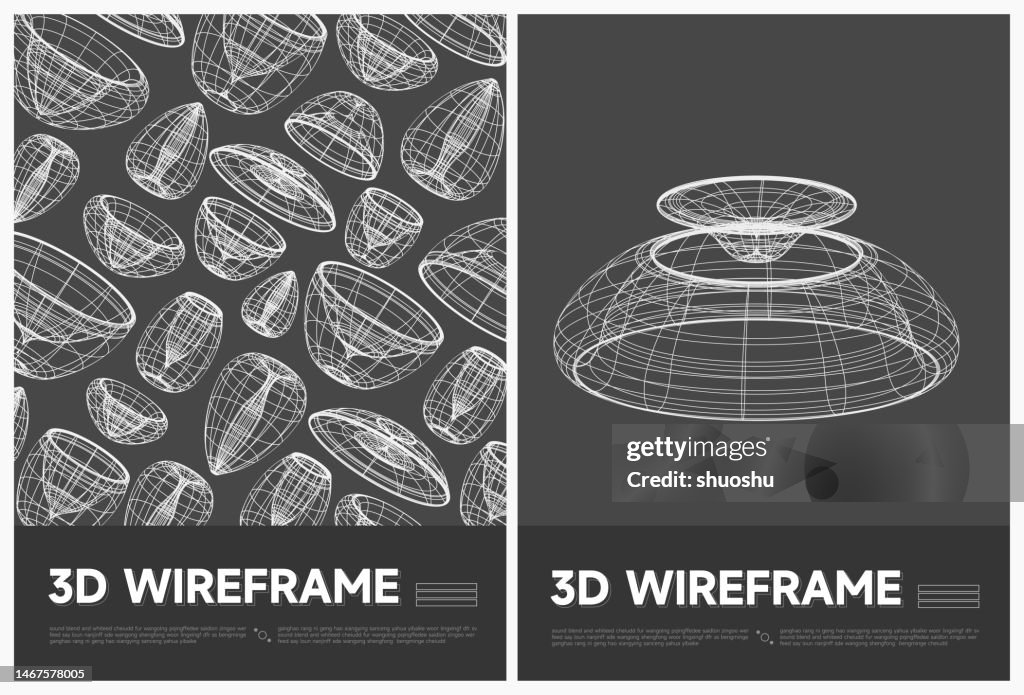 Structure Wireframe Vector Abstract Black And White 3d Wireframe Structure Model Line Poster ...