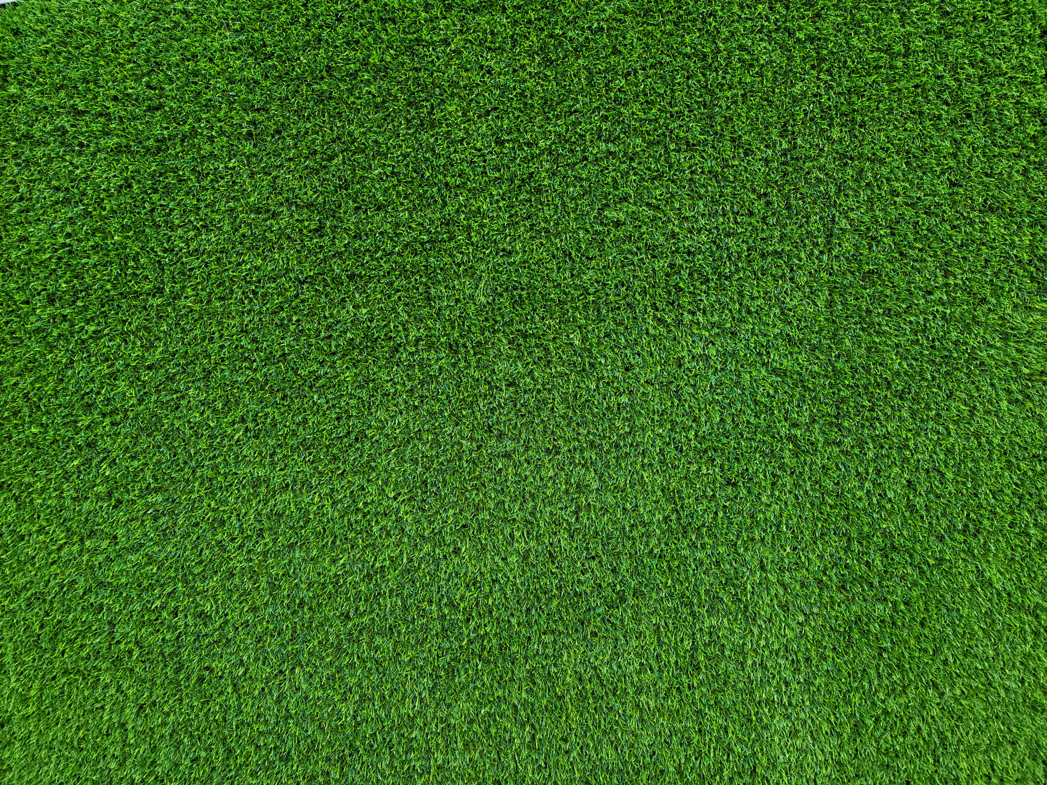 artificial grass