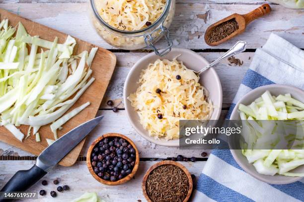 homemade fermented sauerkraut - german traditional delicacy - cabbage family stock pictures, royalty-free photos & images